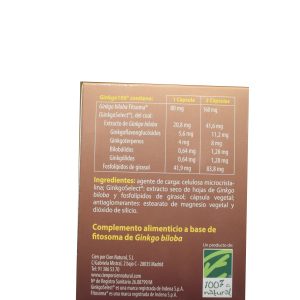 Ginkgo 100 ingredientes