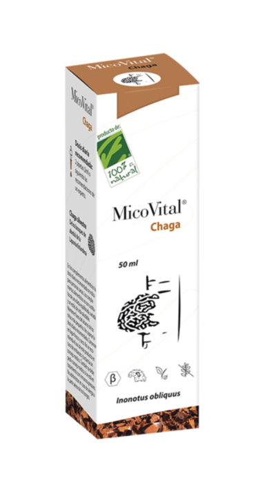 Hongo Chaga MicoVital