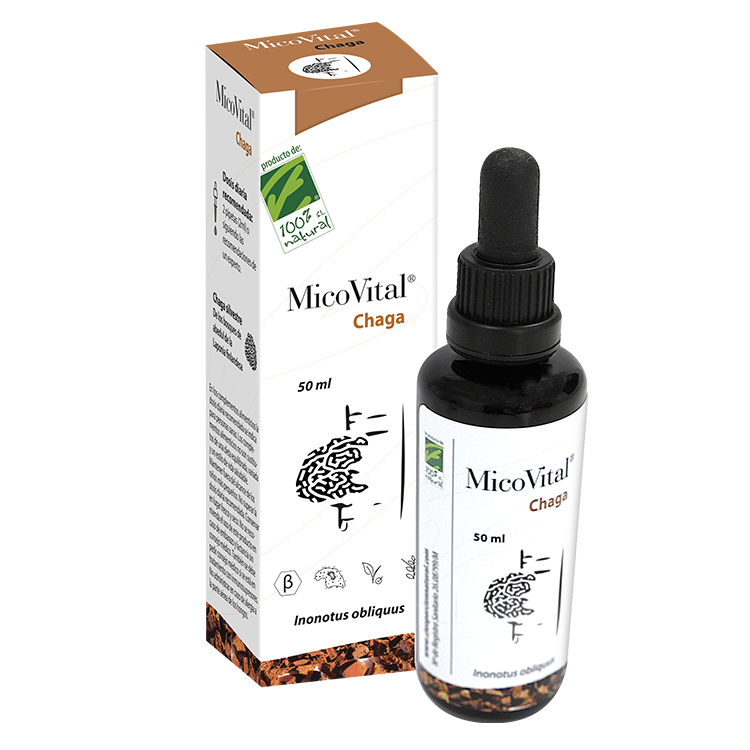 Hongo Chaga MicoVital - Imagen 2
